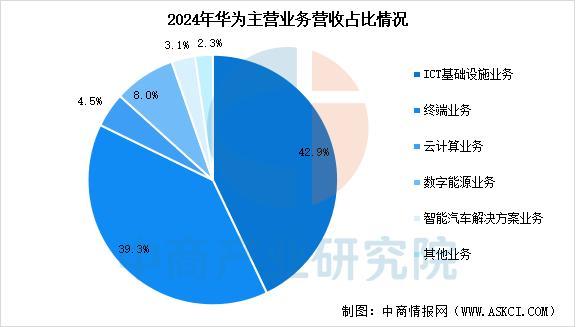 Kaiyun：2025年中国智能穿戴设备行业市场前景预测研究报告（简版）(图13)