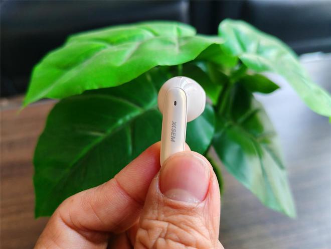 拥有主动降噪的半入耳式耳机？音质还很能打？简评西圣AVA 2Pro(图6)