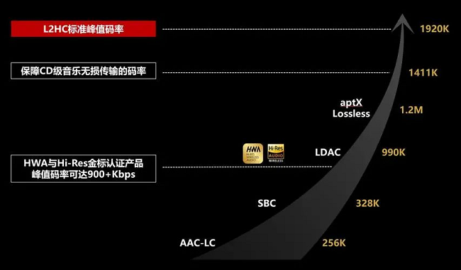 Kaiyun：千亿级市场风口已至！星闪音频（L2HC）技术重塑行业未来(图3)